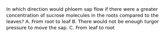 In which direction would phloem sap flow if there were a greater concentration of sucrose molecules in the roots compared to the leaves? A. From root to leaf B. There would not be enough turgor pressure to move the sap. C. From leaf to root