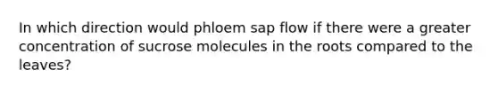 In which direction would phloem sap flow if there were a greater concentration of sucrose molecules in the roots compared to the leaves?