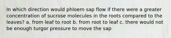 In which direction would phloem sap flow if there were a greater concentration of sucrose molecules in the roots compared to the leaves? a. from leaf to root b. from root to leaf c. there would not be enough turgor pressure to move the sap