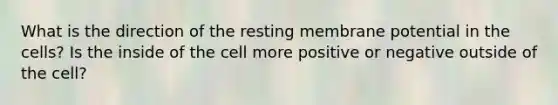 What is the direction of the resting membrane potential in the cells? Is the inside of the cell more positive or negative outside of the cell?