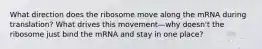 What direction does the ribosome move along the mRNA during translation? What drives this movement—why doesn't the ribosome just bind the mRNA and stay in one place?