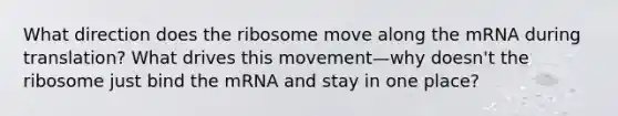 What direction does the ribosome move along the mRNA during translation? What drives this movement—why doesn't the ribosome just bind the mRNA and stay in one place?