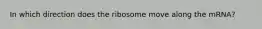 In which direction does the ribosome move along the mRNA?