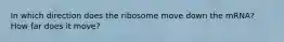 In which direction does the ribosome move down the mRNA? How far does it move?