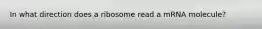 In what direction does a ribosome read a mRNA molecule?