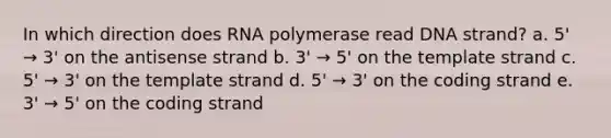 In which direction does RNA polymerase read DNA strand? a. 5' → 3' on the antisense strand b. 3' → 5' on the template strand c. 5' → 3' on the template strand d. 5' → 3' on the coding strand e. 3' → 5' on the coding strand