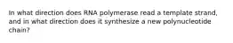 In what direction does RNA polymerase read a template strand, and in what direction does it synthesize a new polynucleotide chain?