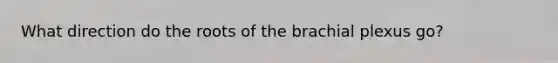 What direction do the roots of the brachial plexus go?