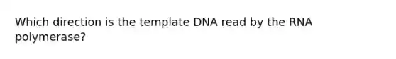 Which direction is the template DNA read by the RNA polymerase?