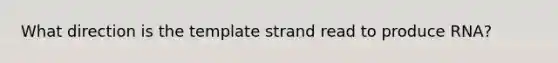 What direction is the template strand read to produce RNA?