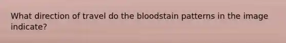 What direction of travel do the bloodstain patterns in the image indicate?