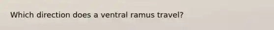 Which direction does a ventral ramus travel?