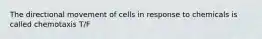 The directional movement of cells in response to chemicals is called chemotaxis T/F