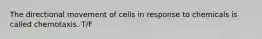 The directional movement of cells in response to chemicals is called chemotaxis. T/F