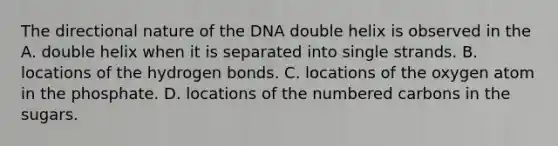 The directional nature of the DNA double helix is observed in the A. double helix when it is separated into single strands. B. locations of the hydrogen bonds. C. locations of the oxygen atom in the phosphate. D. locations of the numbered carbons in the sugars.