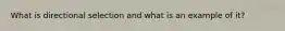 What is directional selection and what is an example of it?
