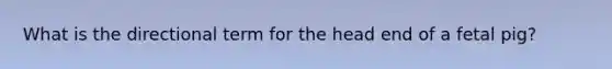 What is the directional term for the head end of a fetal pig?