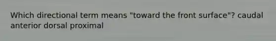 Which directional term means "toward the front surface"? caudal anterior dorsal proximal