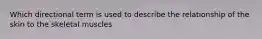 Which directional term is used to describe the relationship of the skin to the skeletal muscles