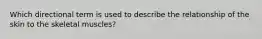 Which directional term is used to describe the relationship of the skin to the skeletal muscles?