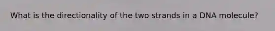 What is the directionality of the two strands in a DNA molecule?