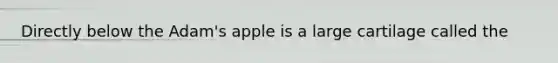 Directly below the Adam's apple is a large cartilage called the