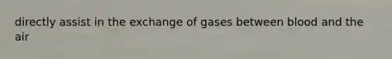 directly assist in the exchange of gases between blood and the air