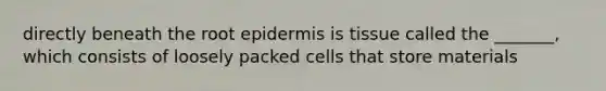 directly beneath the root epidermis is tissue called the _______, which consists of loosely packed cells that store materials