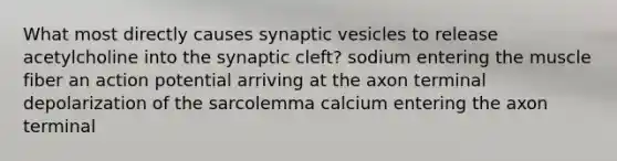 What most directly causes synaptic vesicles to release acetylcholine into the synaptic cleft? sodium entering the muscle fiber an action potential arriving at the axon terminal depolarization of the sarcolemma calcium entering the axon terminal