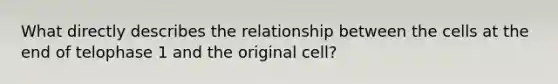 What directly describes the relationship between the cells at the end of telophase 1 and the original cell?