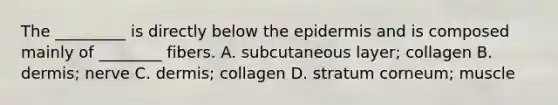 The _________ is directly below the epidermis and is composed mainly of ________ fibers. A. subcutaneous layer; collagen B. dermis; nerve C. dermis; collagen D. stratum corneum; muscle