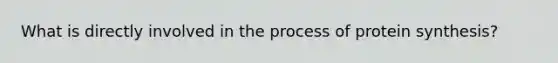 What is directly involved in the process of protein synthesis?