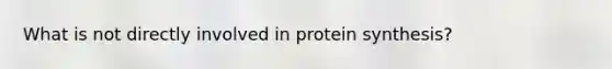 What is not directly involved in protein synthesis?