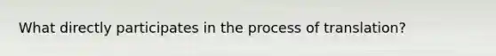 What directly participates in the process of translation?