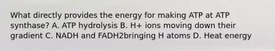 What directly provides the energy for making ATP at ATP synthase? A. ATP hydrolysis B. H+ ions moving down their gradient C. NADH and FADH2bringing H atoms D. Heat energy