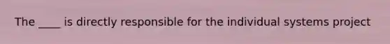 The ____ is directly responsible for the individual systems project