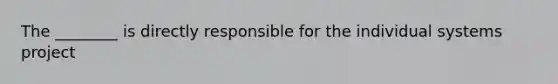 The ________ is directly responsible for the individual systems project