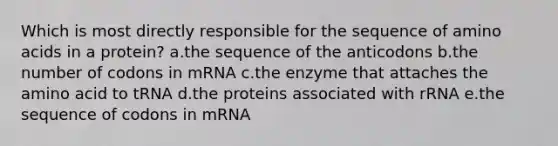 Which is most directly responsible for the sequence of amino acids in a protein? a.the sequence of the anticodons b.the number of codons in mRNA c.the enzyme that attaches the amino acid to tRNA d.the proteins associated with rRNA e.the sequence of codons in mRNA