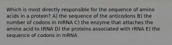 Which is most directly responsible for the sequence of amino acids in a protein? A) the sequence of the anticodons B) the number of codons in mRNA C) the enzyme that attaches the amino acid to tRNA D) the proteins associated with rRNA E) the sequence of codons in mRNA