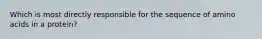 Which is most directly responsible for the sequence of amino acids in a protein?