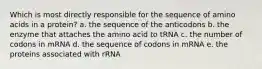 Which is most directly responsible for the sequence of amino acids in a protein? a. the sequence of the anticodons b. the enzyme that attaches the amino acid to tRNA c. the number of codons in mRNA d. the sequence of codons in mRNA e. the proteins associated with rRNA