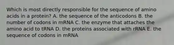 Which is most directly responsible for the sequence of amino acids in a protein? A. the sequence of the anticodons B. the number of codons in mRNA C. the enzyme that attaches the amino acid to tRNA D. the proteins associated with rRNA E. the sequence of codons in mRNA