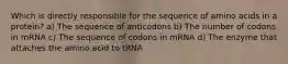 Which is directly responsible for the sequence of amino acids in a protein? a) The sequence of anticodons b) The number of codons in mRNA c) The sequence of codons in mRNA d) The enzyme that attaches the amino acid to tRNA