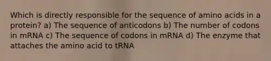 Which is directly responsible for the sequence of amino acids in a protein? a) The sequence of anticodons b) The number of codons in mRNA c) The sequence of codons in mRNA d) The enzyme that attaches the amino acid to tRNA