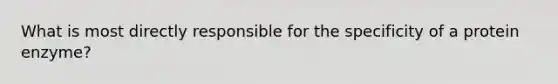 What is most directly responsible for the specificity of a protein enzyme?