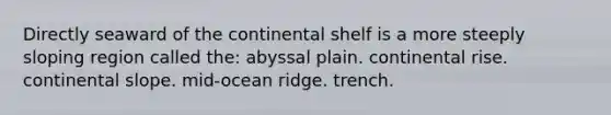 Directly seaward of the continental shelf is a more steeply sloping region called the: abyssal plain. continental rise. continental slope. mid-ocean ridge. trench.