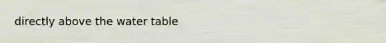 directly above <a href='https://www.questionai.com/knowledge/kra6qgcwqy-the-water-table' class='anchor-knowledge'>the water table</a>