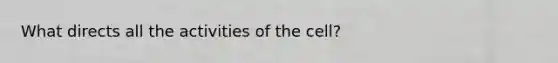 What directs all the activities of the cell?