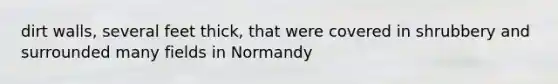 dirt walls, several feet thick, that were covered in shrubbery and surrounded many fields in Normandy