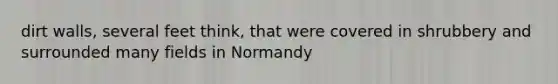 dirt walls, several feet think, that were covered in shrubbery and surrounded many fields in Normandy